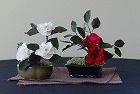 小島　千鶴さん